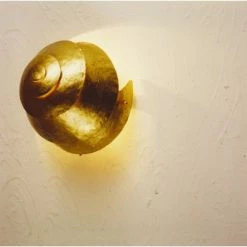 Holl&auml;nder SNAIL ONE Wandleuchte Gold, 1-flammig